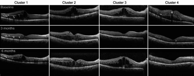 https://cdn.ncbi.nlm.nih.gov/pmc/blobs/aaaa/12008428/86a8bdc58b16/41598_2025_96988_Fig4_HTML.jpg