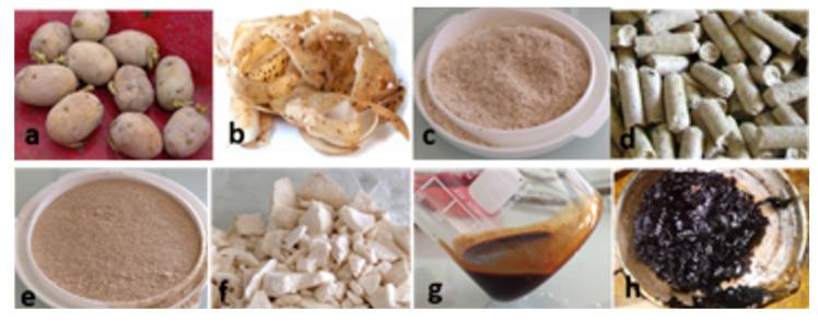https://cdn.ncbi.nlm.nih.gov/pmc/blobs/aaad/7796066/f456ca4b65c9/molecules-26-00177-g006.jpg