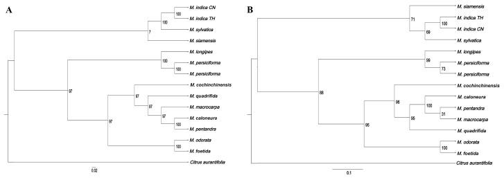 https://cdn.ncbi.nlm.nih.gov/pmc/blobs/aab1/12192436/826114b59d2a/genes-16-00666-g009.jpg