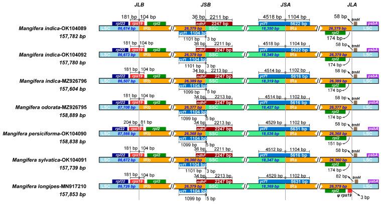 https://cdn.ncbi.nlm.nih.gov/pmc/blobs/aab1/12192436/c4436294cec3/genes-16-00666-g006.jpg