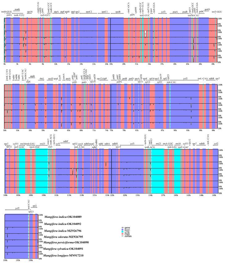 https://cdn.ncbi.nlm.nih.gov/pmc/blobs/aab1/12192436/d768f2a1ac47/genes-16-00666-g007.jpg