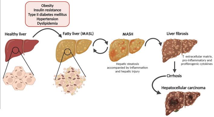 https://cdn.ncbi.nlm.nih.gov/pmc/blobs/aab2/11748479/15c781205681/204_2024_3889_Fig1_HTML.jpg