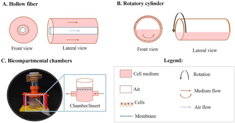 https://cdn.ncbi.nlm.nih.gov/pmc/blobs/aab4/8107677/3f1cc78d784e/10.1177_20417314211008696-fig2.jpg