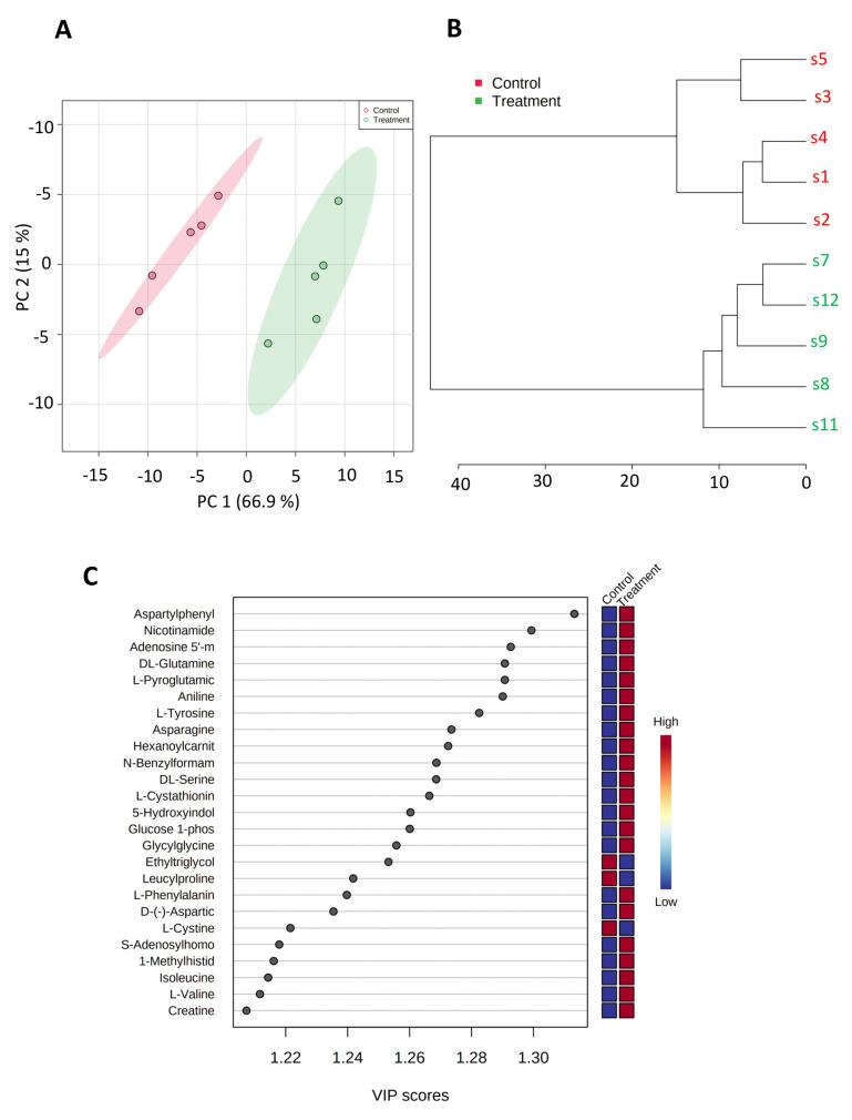 https://cdn.ncbi.nlm.nih.gov/pmc/blobs/aab5/10377004/134ad9763857/biomedicines-11-02073-g003.jpg