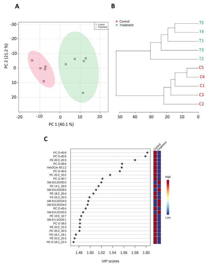 https://cdn.ncbi.nlm.nih.gov/pmc/blobs/aab5/10377004/3f760ed5c6f1/biomedicines-11-02073-g005.jpg