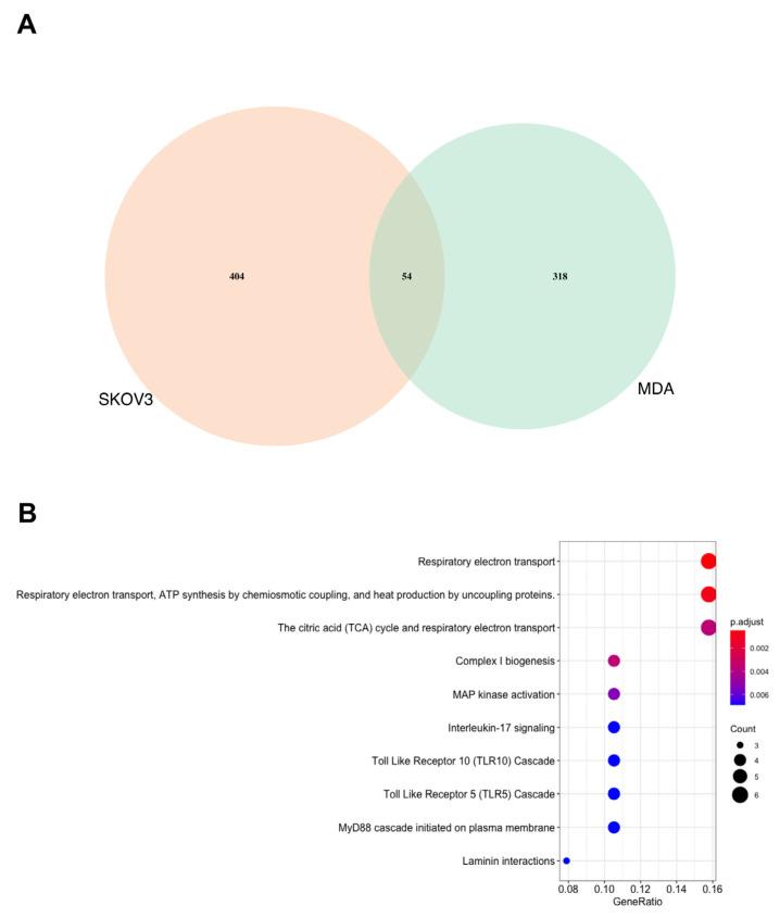 https://cdn.ncbi.nlm.nih.gov/pmc/blobs/aab5/10377004/bdf547672f8d/biomedicines-11-02073-g002.jpg