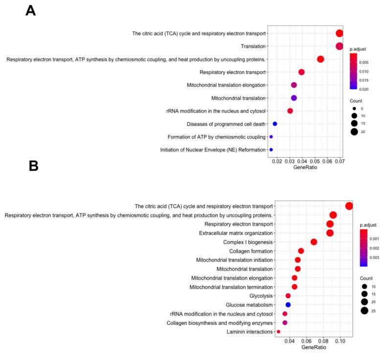 https://cdn.ncbi.nlm.nih.gov/pmc/blobs/aab5/10377004/bfc9ecf05199/biomedicines-11-02073-g001.jpg
