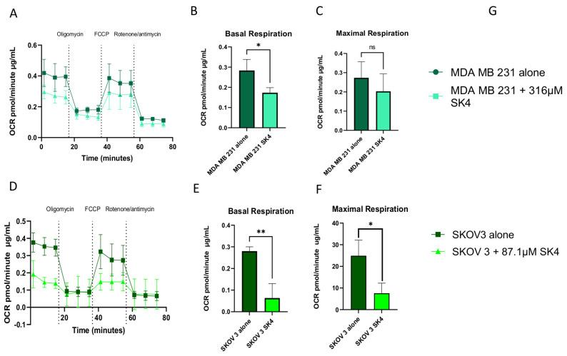 https://cdn.ncbi.nlm.nih.gov/pmc/blobs/aab5/10377004/dc87f520837d/biomedicines-11-02073-g004.jpg