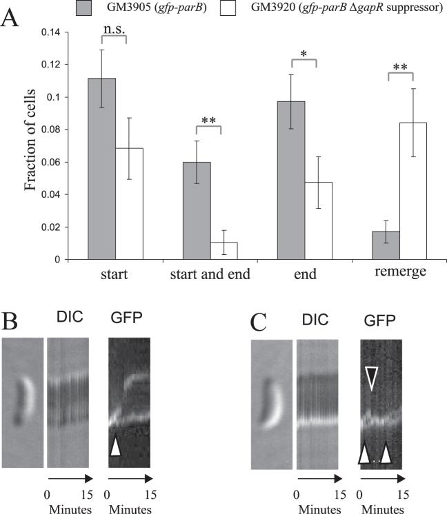 https://cdn.ncbi.nlm.nih.gov/pmc/blobs/aab5/5587793/f6223525edc8/gkx596fig6.jpg