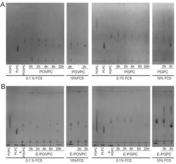 https://cdn.ncbi.nlm.nih.gov/pmc/blobs/aab6/3533736/bc2e8b3fc21f/1476-511X-11-110-3.jpg
