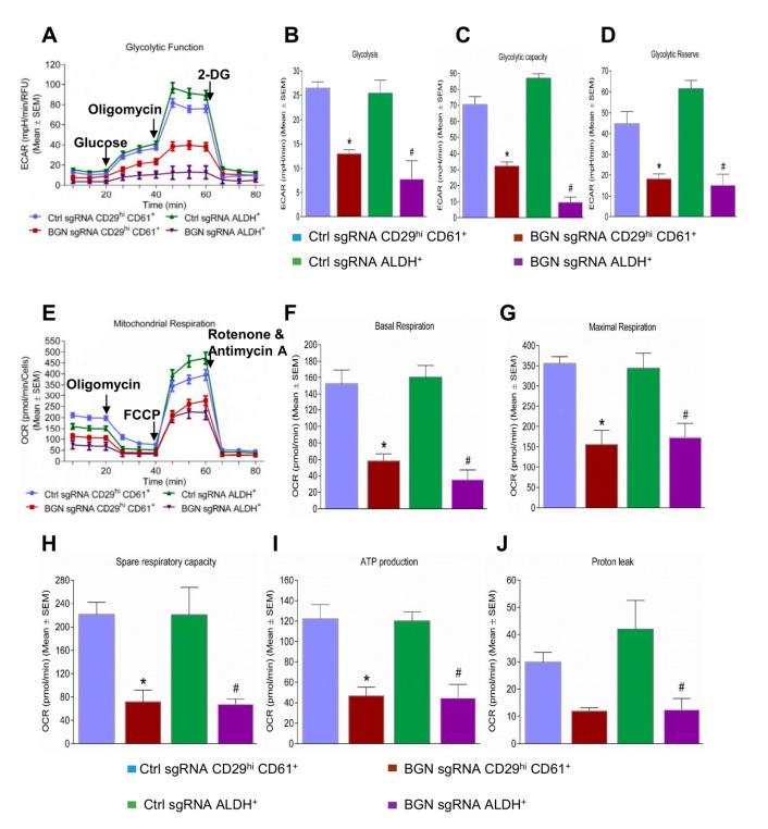 https://cdn.ncbi.nlm.nih.gov/pmc/blobs/aab7/8773822/eccaad126fe4/cancers-14-00455-g004.jpg