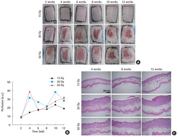 https://cdn.ncbi.nlm.nih.gov/pmc/blobs/aaba/6177636/037453df77ab/aps-2018-00101f1.jpg