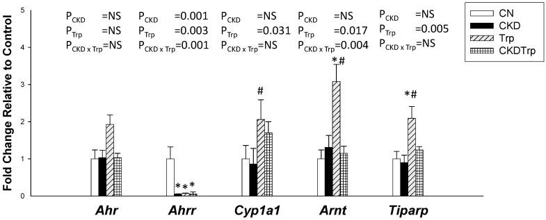 https://cdn.ncbi.nlm.nih.gov/pmc/blobs/aabb/7349830/46731012f46b/ijms-21-04552-g002.jpg