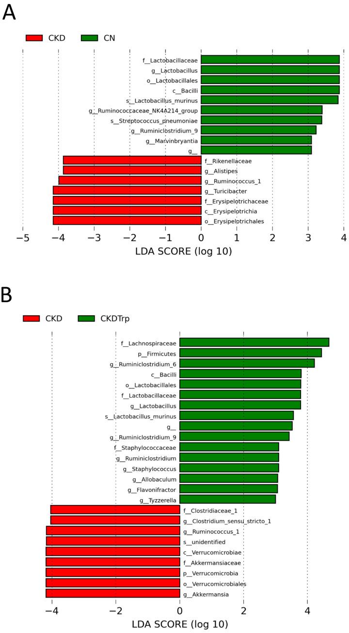 https://cdn.ncbi.nlm.nih.gov/pmc/blobs/aabb/7349830/7fe91e80cdcb/ijms-21-04552-g006.jpg