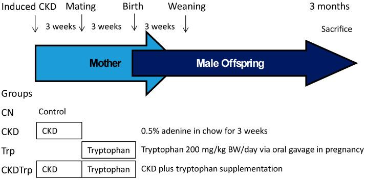 https://cdn.ncbi.nlm.nih.gov/pmc/blobs/aabb/7349830/fcaeac1e1a85/ijms-21-04552-g007.jpg