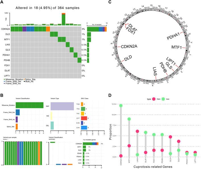 https://cdn.ncbi.nlm.nih.gov/pmc/blobs/aabb/9871247/582de8ce0879/fphar-13-1081952-g001.jpg