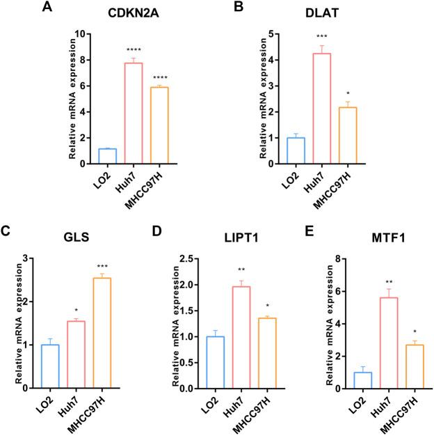https://cdn.ncbi.nlm.nih.gov/pmc/blobs/aabb/9871247/eb650a4fe878/fphar-13-1081952-g010.jpg