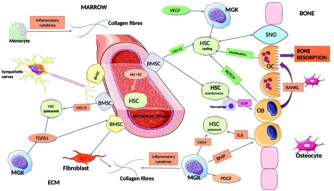 https://cdn.ncbi.nlm.nih.gov/pmc/blobs/aabc/7193484/ea0b37352316/1051189.fig1.jpg