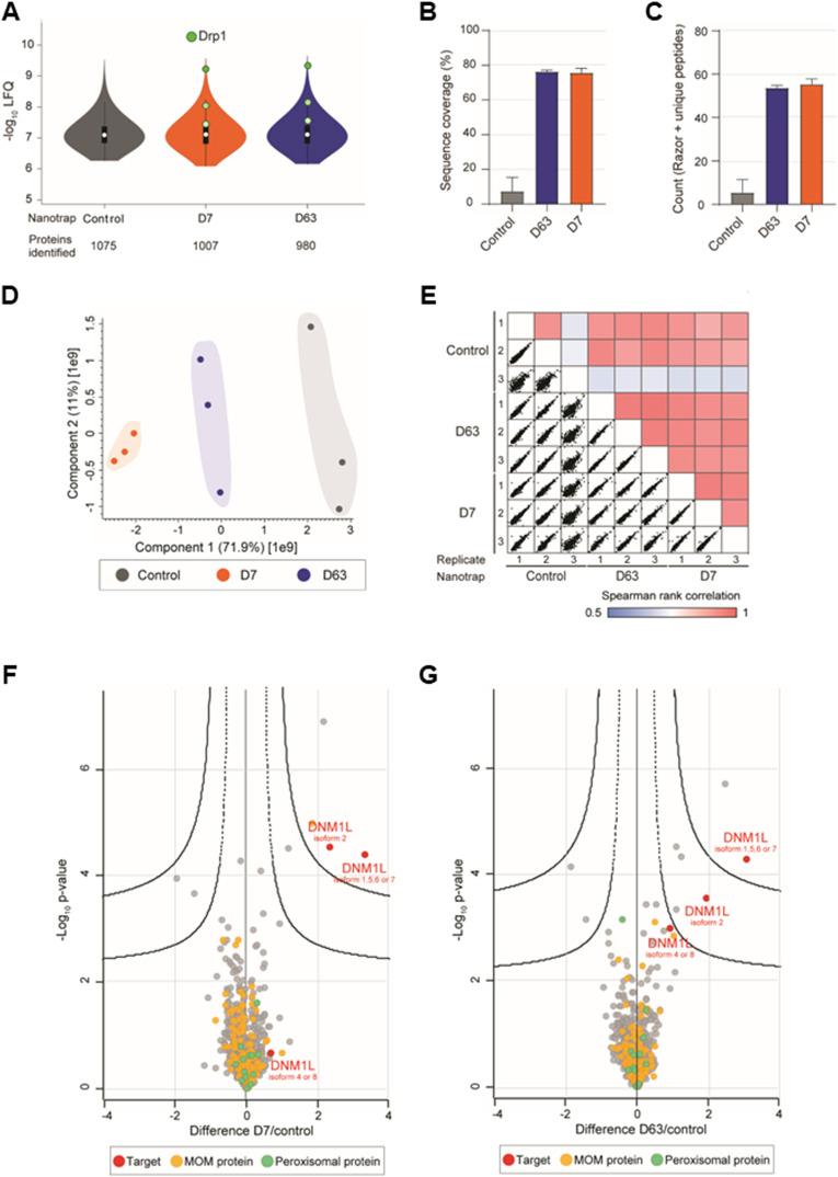 https://cdn.ncbi.nlm.nih.gov/pmc/blobs/aabd/11140114/a9f741602381/LSA-2024-02608_FigS5.jpg