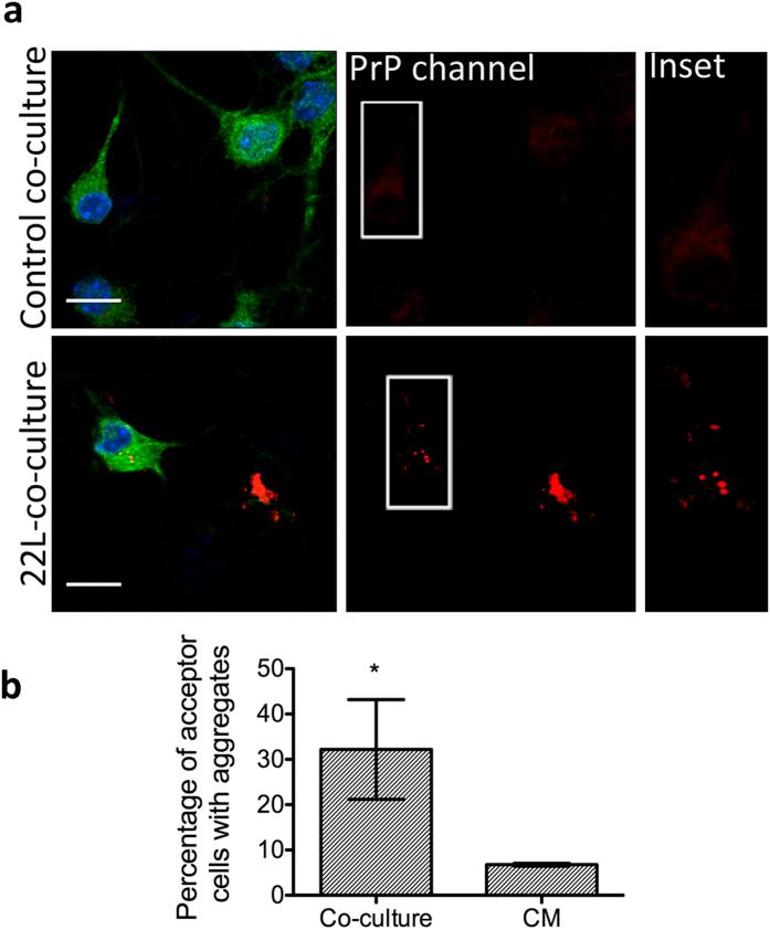 https://cdn.ncbi.nlm.nih.gov/pmc/blobs/aabd/4746738/1eb32f3007fd/srep20762-f6.jpg
