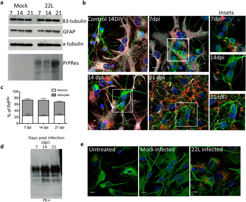 https://cdn.ncbi.nlm.nih.gov/pmc/blobs/aabd/4746738/bf4fc11d0ea6/srep20762-f1.jpg