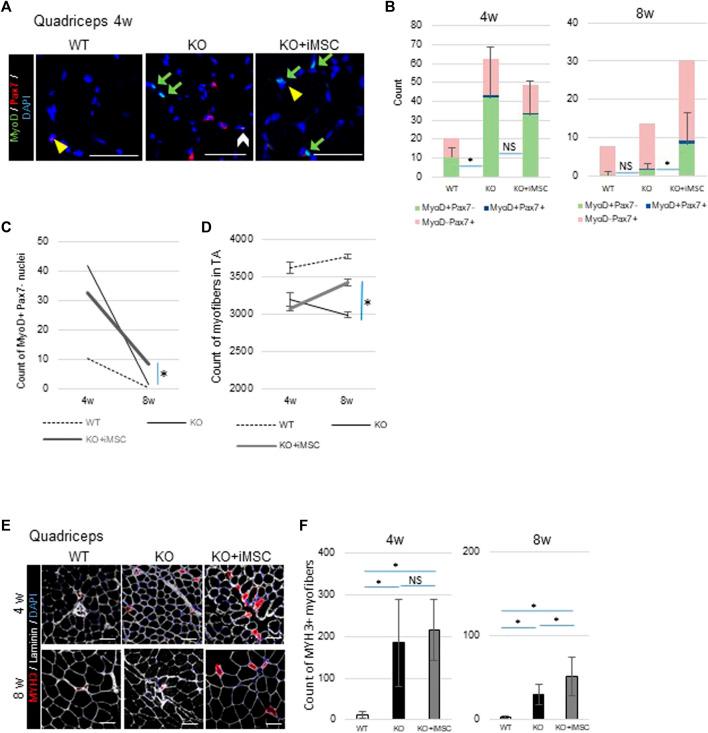 https://cdn.ncbi.nlm.nih.gov/pmc/blobs/aabe/8649773/80dfb4bd8bc2/fcell-09-790341-g004.jpg