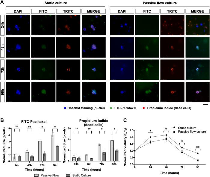 https://cdn.ncbi.nlm.nih.gov/pmc/blobs/aabf/10151532/d6af14731f47/fbioe-11-1135374-g009.jpg