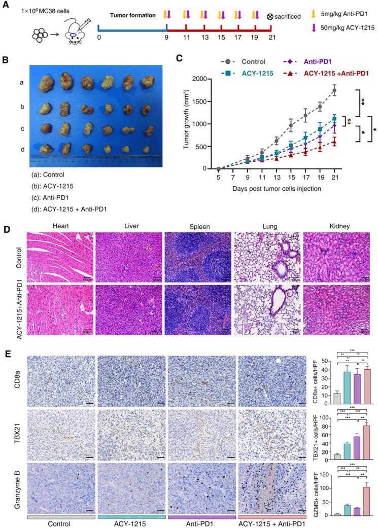 https://cdn.ncbi.nlm.nih.gov/pmc/blobs/aac0/10992678/bc29a09f9e5b/262_2023_3624_Fig1_HTML.jpg