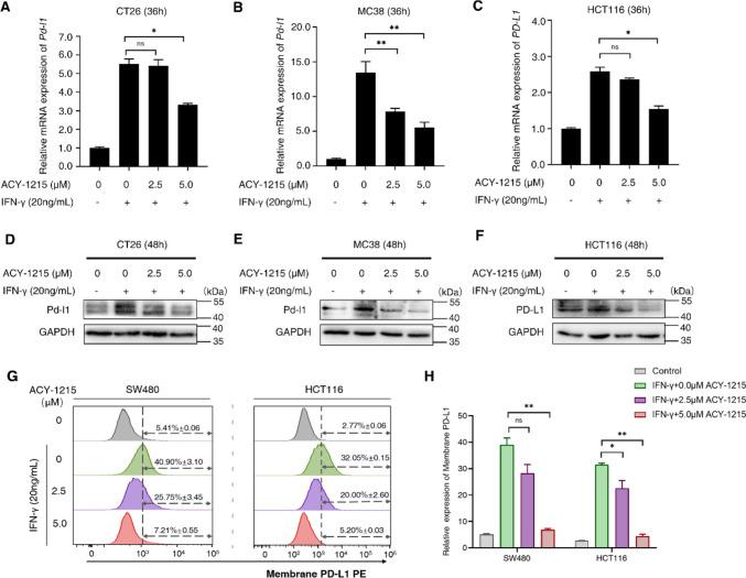 https://cdn.ncbi.nlm.nih.gov/pmc/blobs/aac0/10992678/d054a0356f7e/262_2023_3624_Fig3_HTML.jpg