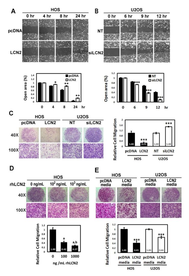 https://cdn.ncbi.nlm.nih.gov/pmc/blobs/aac0/8268143/652081667b73/cancers-13-03181-g002.jpg