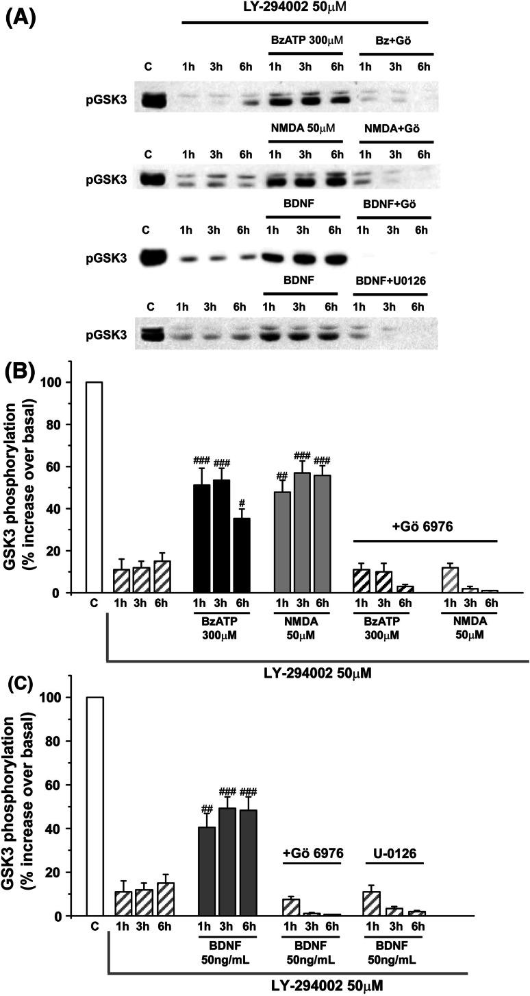 https://cdn.ncbi.nlm.nih.gov/pmc/blobs/aac3/11115631/c333dfb2de20/18_2010_278_Fig5_HTML.jpg