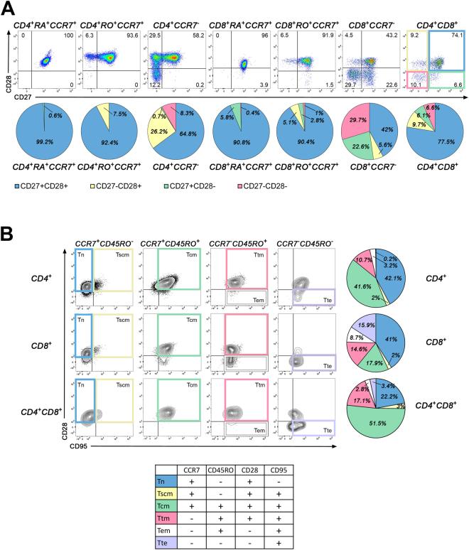 https://cdn.ncbi.nlm.nih.gov/pmc/blobs/aac4/5599513/80a32e17d499/41598_2017_11926_Fig2_HTML.jpg