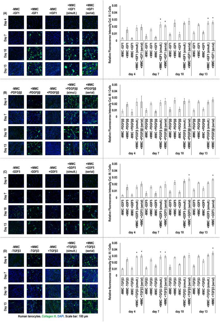 https://cdn.ncbi.nlm.nih.gov/pmc/blobs/aac5/9934496/f142b1d57b5c/gr3.jpg