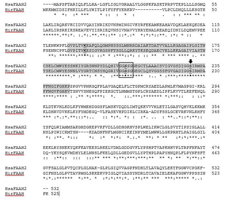 https://cdn.ncbi.nlm.nih.gov/pmc/blobs/aac6/11450075/682d5abc2b70/11064_2024_4216_Fig2_HTML.jpg
