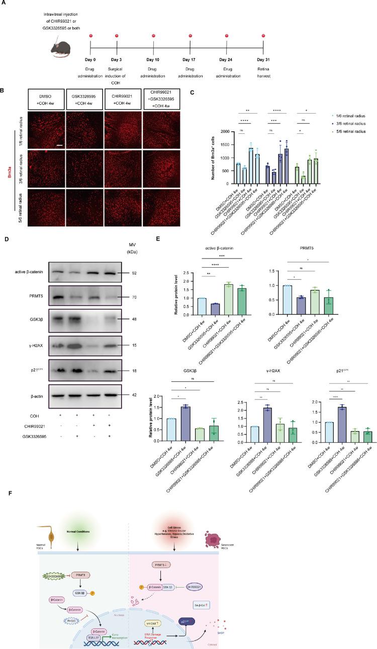 https://cdn.ncbi.nlm.nih.gov/pmc/blobs/aac6/12136124/d363e7483989/iovs-66-6-8-f007.jpg