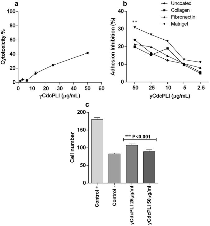 https://cdn.ncbi.nlm.nih.gov/pmc/blobs/aac7/5539153/c6d34fea9a09/41598_2017_7082_Fig4_HTML.jpg
