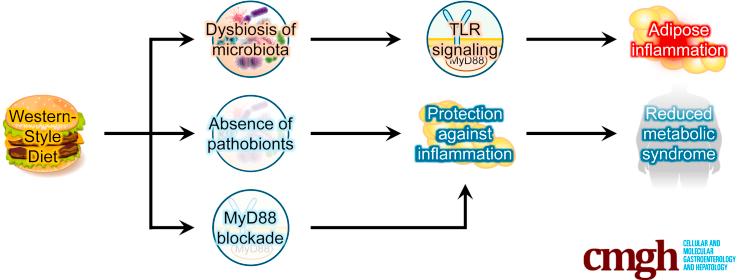 https://cdn.ncbi.nlm.nih.gov/pmc/blobs/aac9/6957826/528b9074e619/fx1.jpg