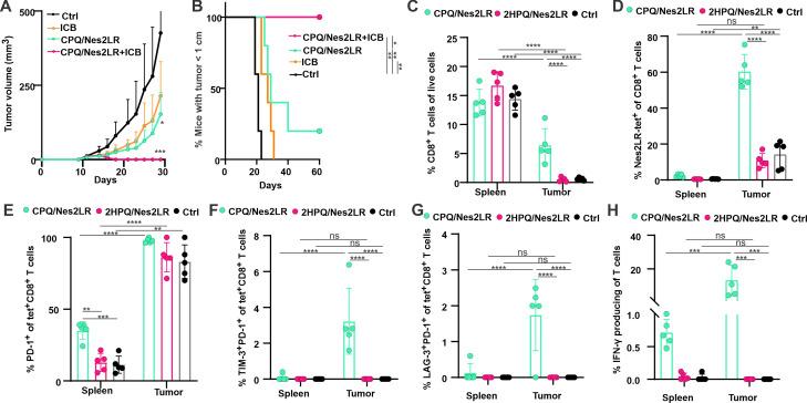 https://cdn.ncbi.nlm.nih.gov/pmc/blobs/aaca/8647534/4c9ecd795730/jitc-2021-003101f04.jpg