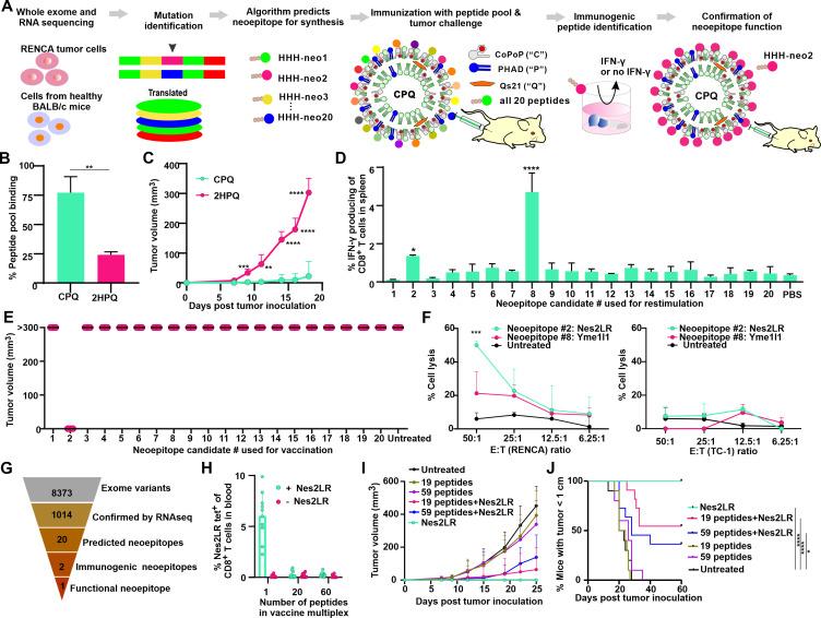 https://cdn.ncbi.nlm.nih.gov/pmc/blobs/aaca/8647534/a1bc289c3d9b/jitc-2021-003101f01.jpg