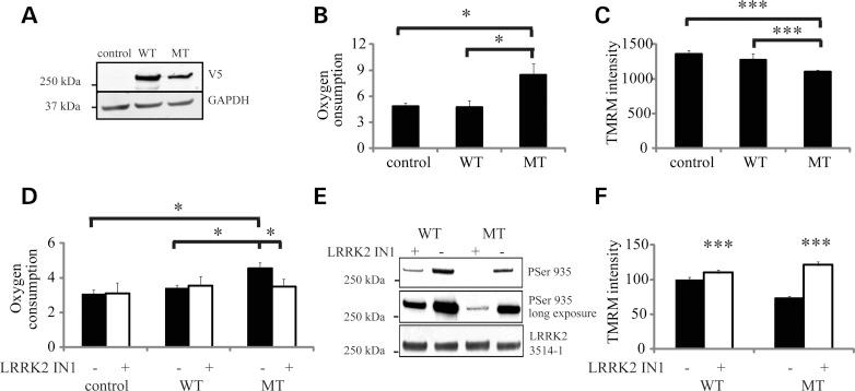 https://cdn.ncbi.nlm.nih.gov/pmc/blobs/aacb/3441120/23f62ef36d48/dds24403.jpg