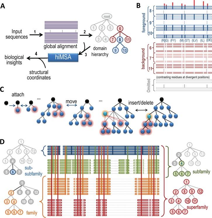 https://cdn.ncbi.nlm.nih.gov/pmc/blobs/aacb/5225019/07a31bfeba14/pcbi.1005294.g002.jpg