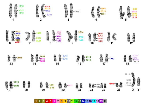 https://cdn.ncbi.nlm.nih.gov/pmc/blobs/aace/2824727/dac5afe4111a/1471-2164-11-70-1.jpg