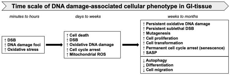 https://cdn.ncbi.nlm.nih.gov/pmc/blobs/aad1/10297158/5b048b68c5dc/curroncol-30-00416-g004.jpg