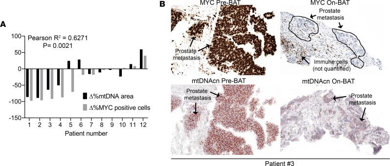 https://cdn.ncbi.nlm.nih.gov/pmc/blobs/aad1/10807718/8df5573056e8/jciinsight-8-169868-g123.jpg
