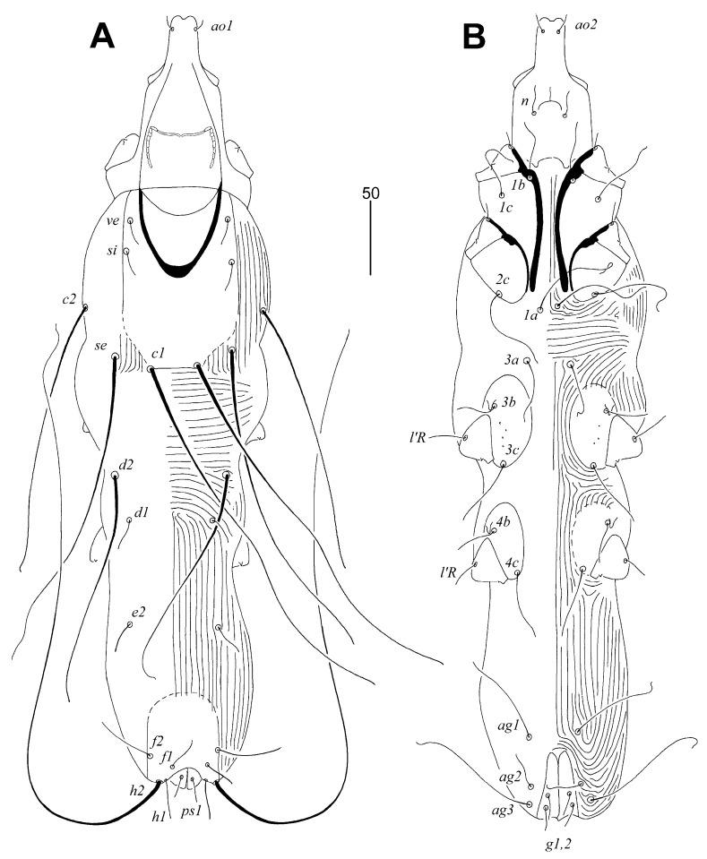https://cdn.ncbi.nlm.nih.gov/pmc/blobs/aad1/11311084/7bf7306c1b50/animals-14-02239-g001.jpg