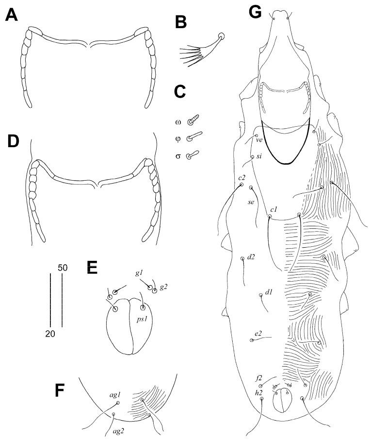 https://cdn.ncbi.nlm.nih.gov/pmc/blobs/aad1/11311084/9ade5ff53530/animals-14-02239-g002.jpg