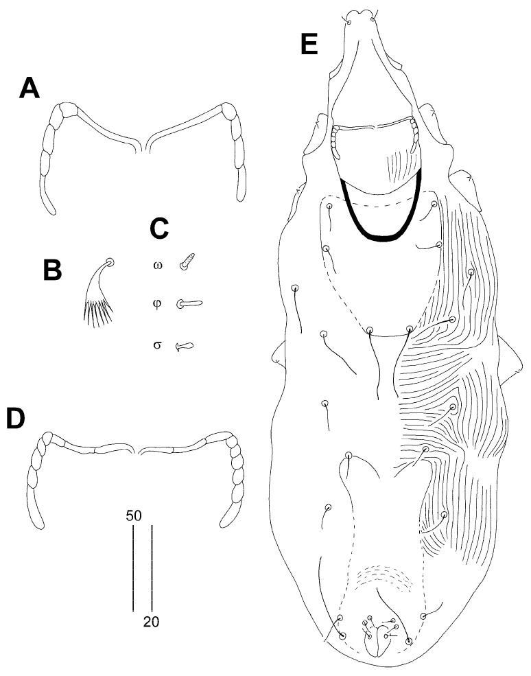 https://cdn.ncbi.nlm.nih.gov/pmc/blobs/aad1/11311084/eb82cdac995f/animals-14-02239-g004.jpg