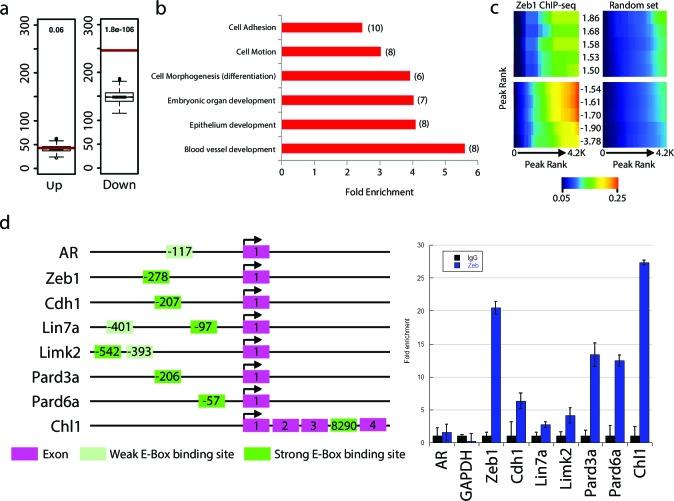 https://cdn.ncbi.nlm.nih.gov/pmc/blobs/aad1/4891180/284826ac7f18/elife-12717-fig4.jpg