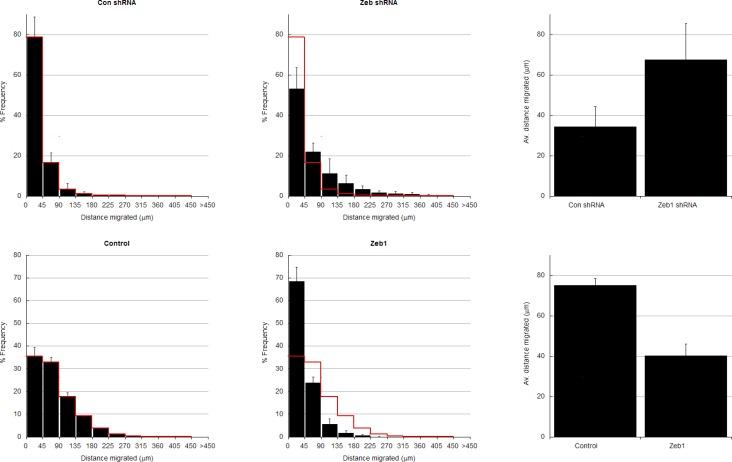 https://cdn.ncbi.nlm.nih.gov/pmc/blobs/aad1/4891180/a90a5691b301/elife-12717-fig2-figsupp1.jpg