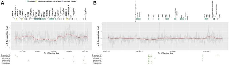 https://cdn.ncbi.nlm.nih.gov/pmc/blobs/aad2/7643365/53bedadfb23e/evaa187f4.jpg